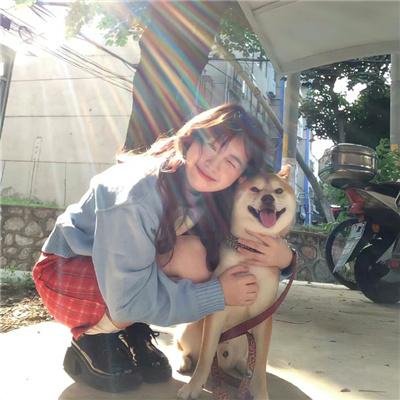 郊狼
